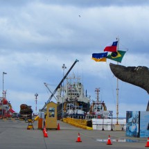 Fishing port of Punta Arenas